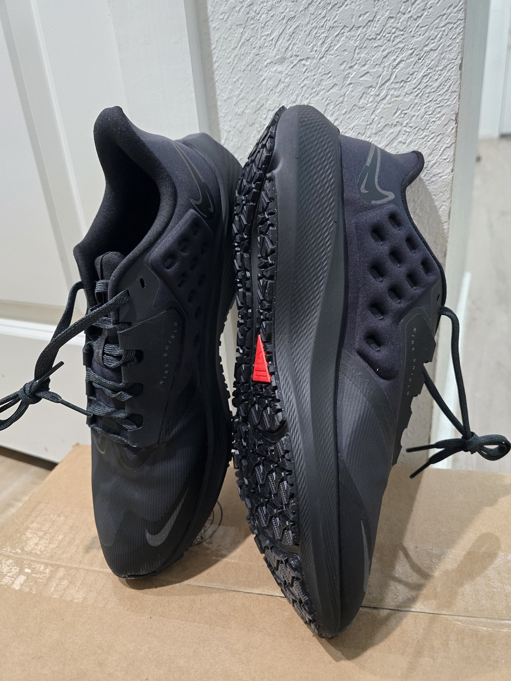 Nike Air Max Pegasus 39 Shield